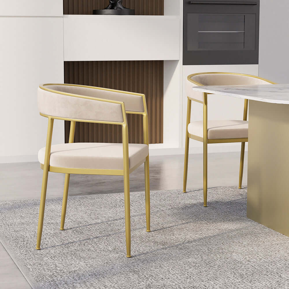 Gray Modern Dining Chair with Velvet Upholstery and Gold Legs for Elegant Home Decor
