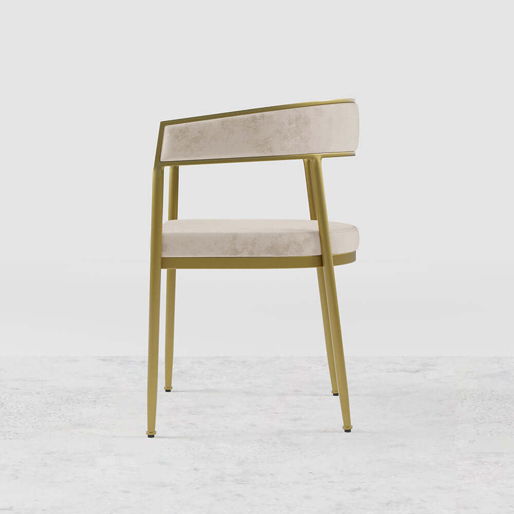 Gray Modern Dining Chair with Velvet Upholstery and Gold Legs for Elegant Home Decor