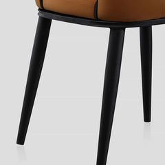 2-piece set of carbon steel dining chairs in black, modern and stylish