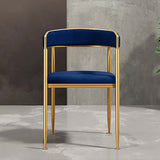 Gray Modern Dining Chair Velvet Upholstered Accent Arm Chair with Gold Leg
