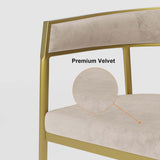 Gray Modern Dining Chair Velvet Upholstered Accent Arm Chair with Gold Leg