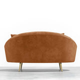 Modern 63" Pink Velvet Curved Sofa Gold Metal Toss Pillow Included