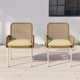 2 Pieces Farmhouse Aluminum & Rattan Outdoor Patio Dining Chair Armchair Set in Brown