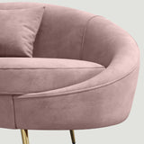 Modern 63" Pink Velvet Curved Sofa Gold Metal Toss Pillow Included